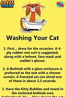Image result for Washing My Cat Meme