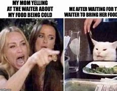 Image result for White Cat at Dinner Table Meme