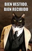 Image result for Funny Spanish Cat Memes