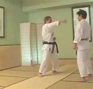 Image result for Seiken Punch Karate