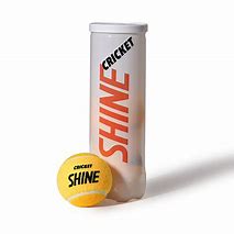 Image result for Shine Cricket Shoes