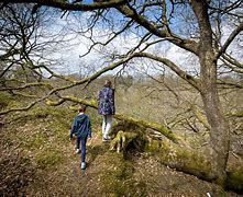 Image result for Brecon Beacons with Kids