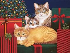 Image result for Boxed Cat Christmas Cards