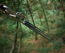 Image result for Legless Rope Climb