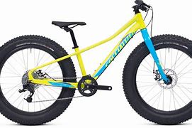 Image result for 24 Inch Fat Bike