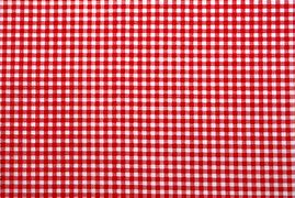 Image result for Checkered Tablecloth Texture