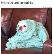 Image result for Memes About Cold