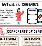 Image result for DB DBMS