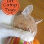 Image result for Homemade Catnip Toys