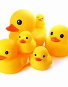 Image result for Rubber Bath Toys