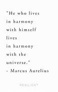 Image result for The Universe Quotes