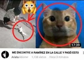 Image result for Ramirez Cat Meme