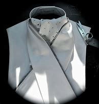 Image result for Dressage Stock Tie
