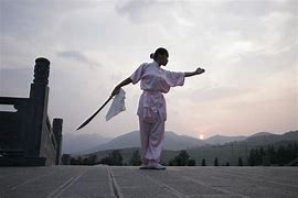 Image result for Female Kung Fu Fighters