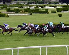 Image result for Different Types of Horse Racing