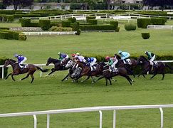 Image result for Illusion Horse Racing Cartoon