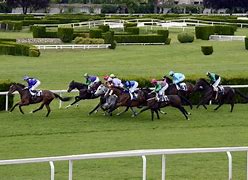 Image result for Carttoon Pic of Horse Racing
