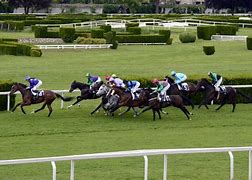 Image result for Horse Racing Betting Game
