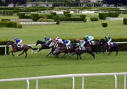 Image result for Horse Racing P8ctures