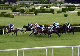 Image result for Horse Racing Cheering