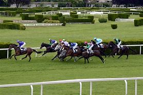 Image result for Horse Racing Template