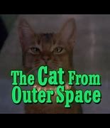 Image result for Cat in Space Meme