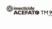 Image result for acefato