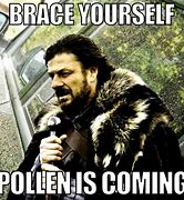 Image result for Pollen Pool Meme