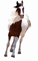 Image result for Beautiful Horse PNG
