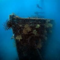 Image result for Underwater Images Truk Lagoon