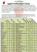 Image result for Apple Tree Pollination Compatibility Chart