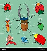 Image result for Bug Cartoon Picture