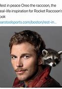 Image result for Rocket Adopts Baby Groot Memes