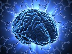 Image result for brain power