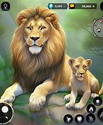 Image result for Bears and Lions Game