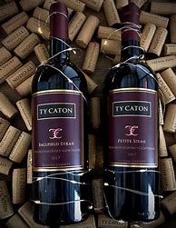 Image result for Ty Caton Racchus Red