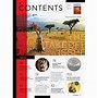 Image result for Magazine Page Layout