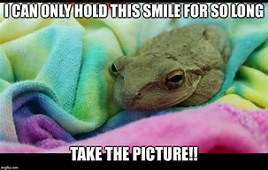 Image result for smiling frogs memes