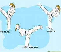 Image result for Martial Arts Fighting Moves