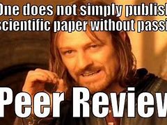 Image result for Peer Review Meme