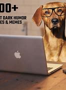 Image result for Memes to Make You Laugh Dark Humor