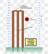 Image result for Parts of a Wicket