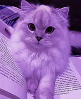 Image result for Purple Cat Background