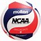 Image result for Molten Outdoor Volleyball