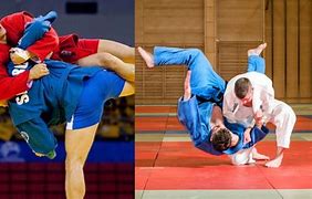 Image result for sambo vs judo