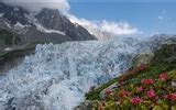 Image result for iPad Mountain Wallpaper