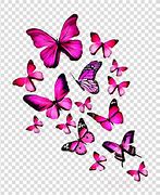 Image result for Yellow Butterflies Clip Art