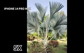 Image result for Pictures Taken with iPhone 14 Pro Max Zoom