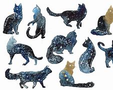 Image result for Galaxy Fur Cat