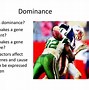 Image result for Dominance Example